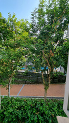 Le Hill Condominium (D5), Condominium #479267991